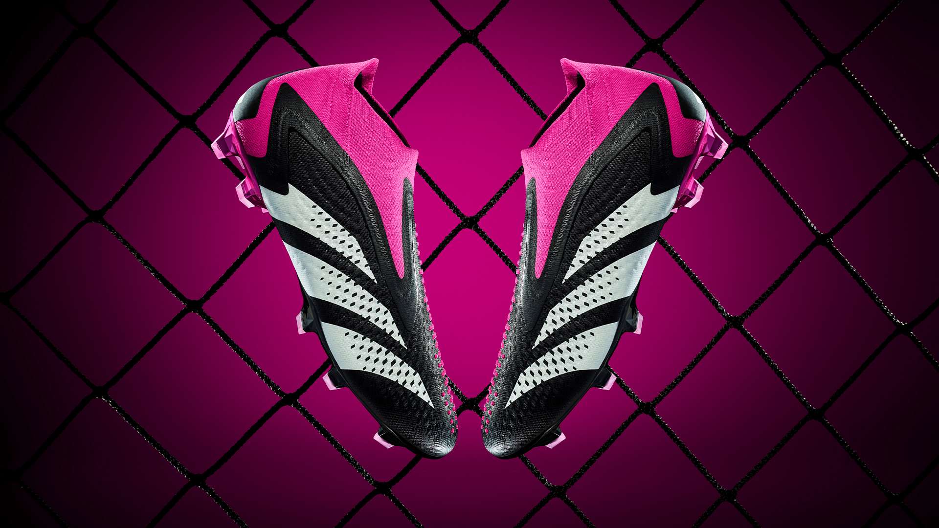 建立了极大 建立了极大