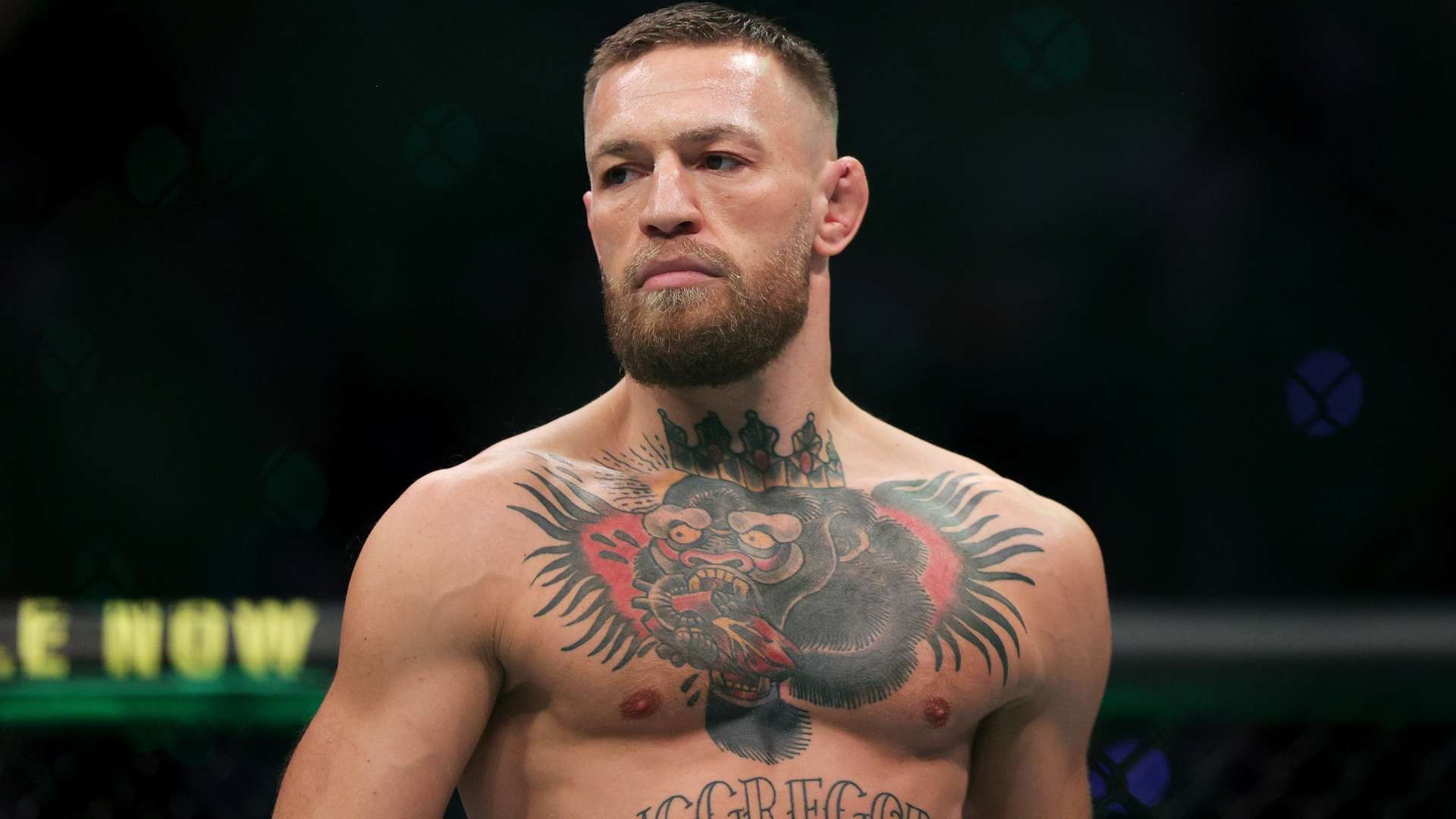 胜利必将属 胜利必将属